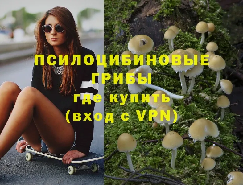 Псилоцибиновые грибы Psilocybine cubensis  Клин 